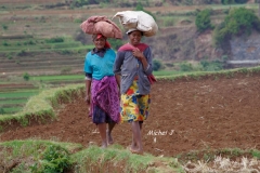 paysannes port charges tete