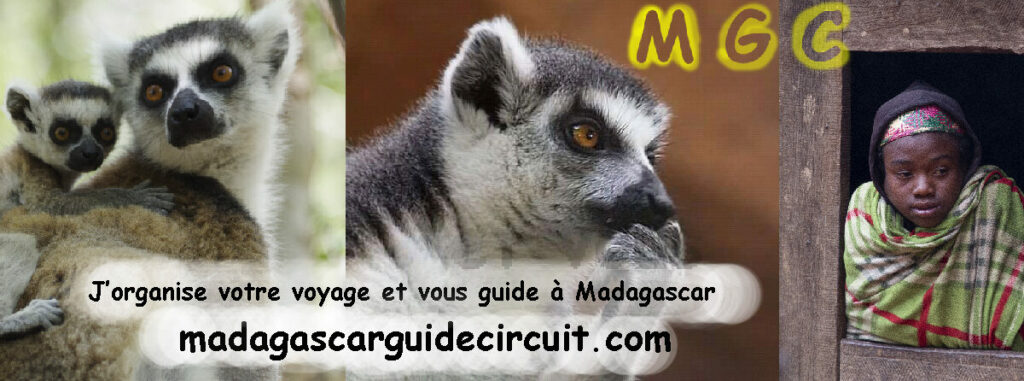 Cropped Bandeau Presentation Site 1200X450 1024x381