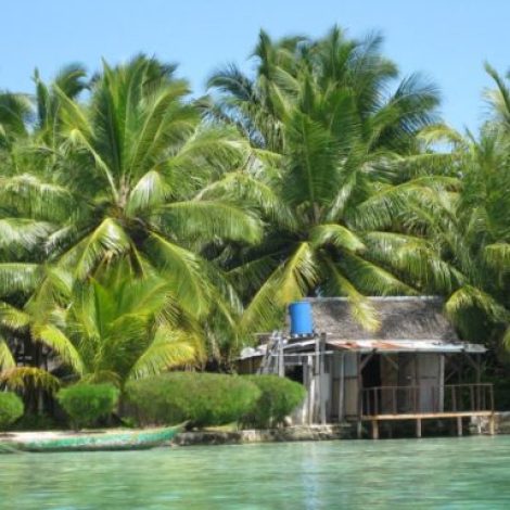 1013532_10201278114575937_2032061993_n