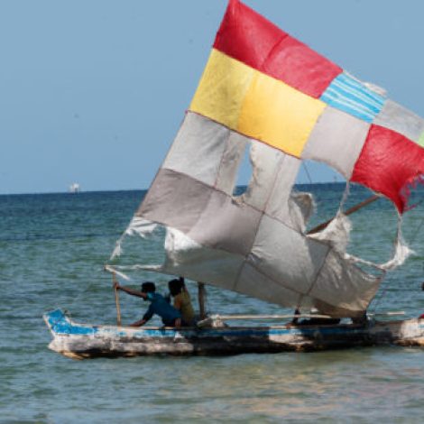 pirogue a voile vezo